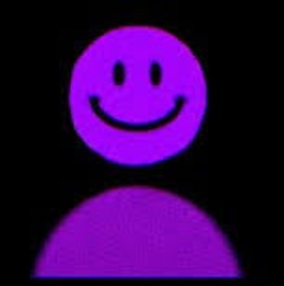 Meet your Posher, Mae - Picture 1 of 1